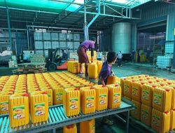 Yangon Palm Oil Price Decline Yangon Palm Oil Price Decline